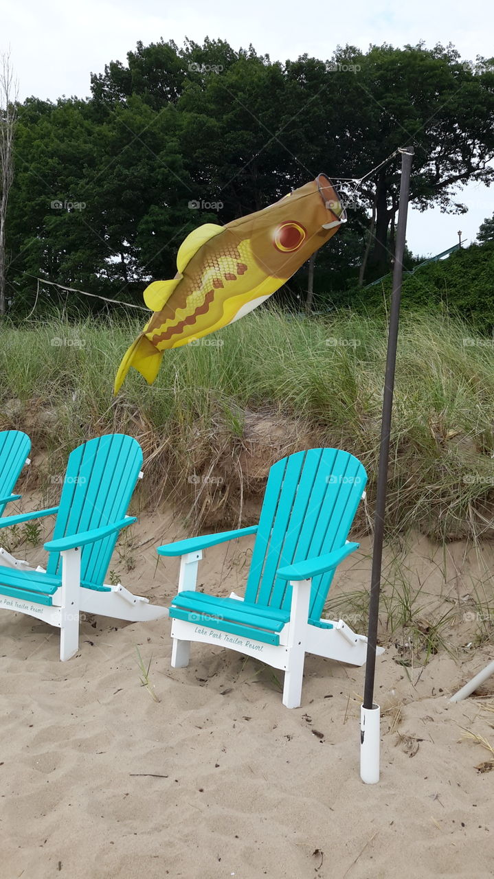 beach chairs waiting