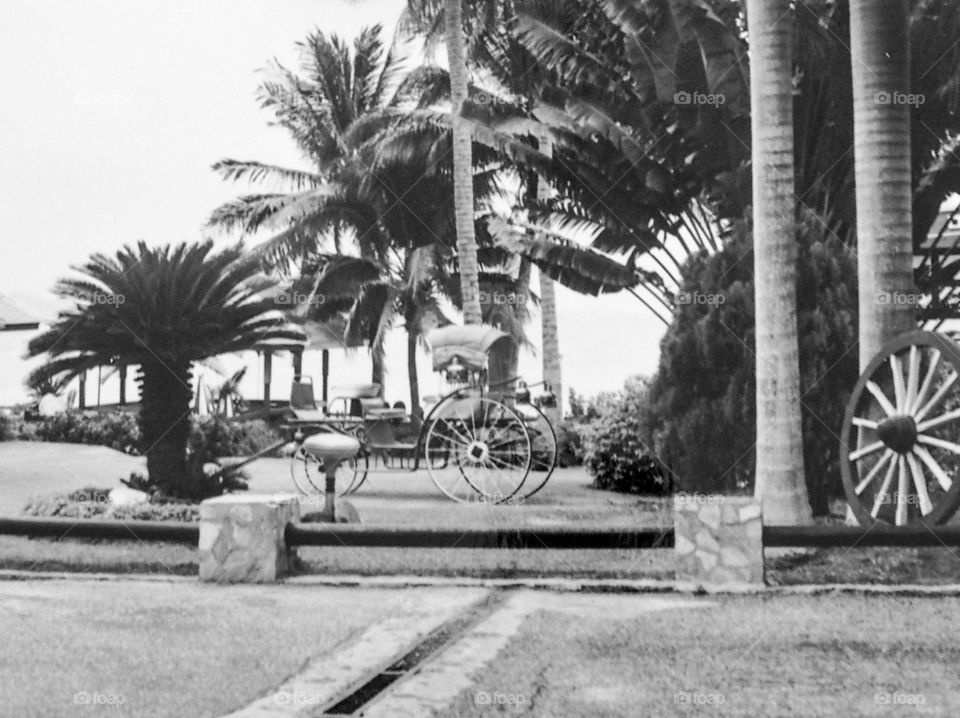 Scenic view of hotel garden