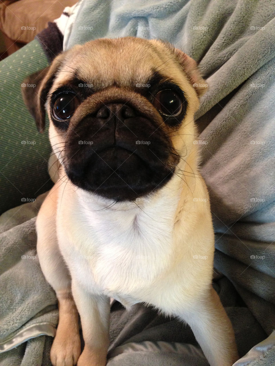 Penny practices the look