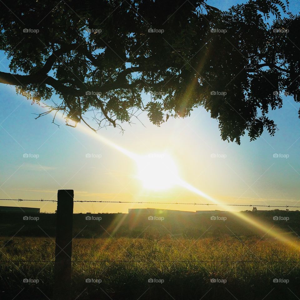 Desperte, Brasil. Que sejamos inspirados por este belo amanhecer! O clique é desta manhã incrível de sábado! 🇧🇷/ Awaken, Brazil. May we be inspired by this beautiful dawn! The click is this amazing Saturday morning! 🇺🇸
🍃