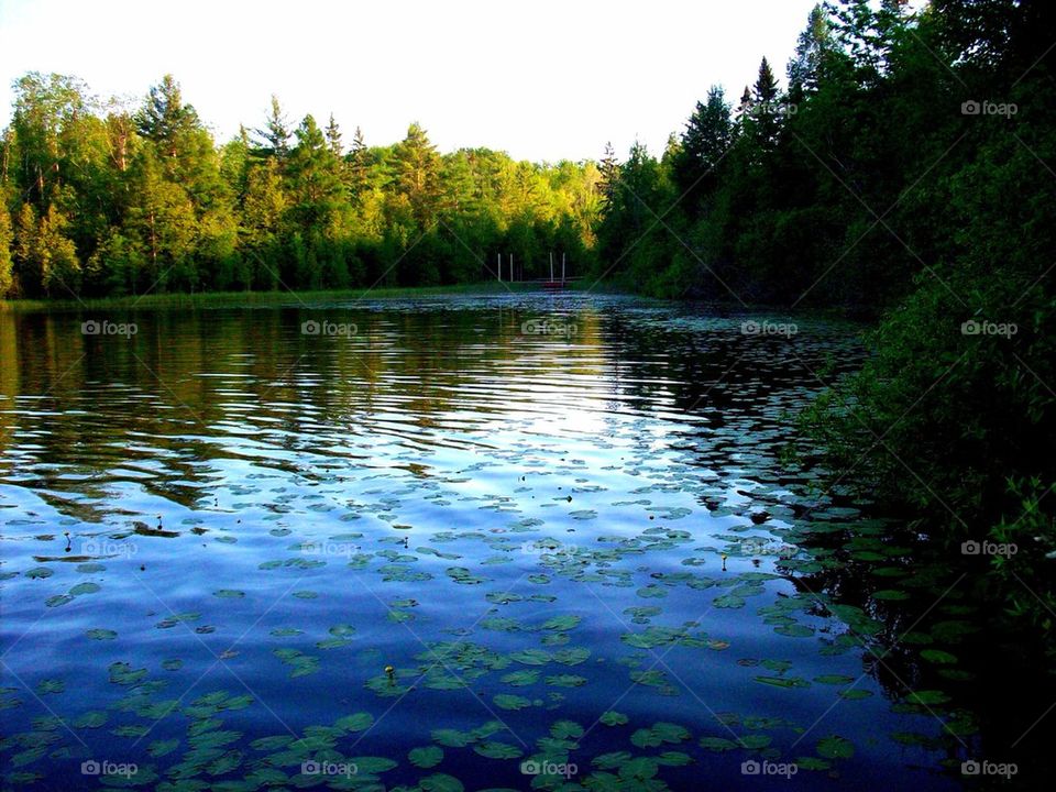 Scenics view of wisconsin lake