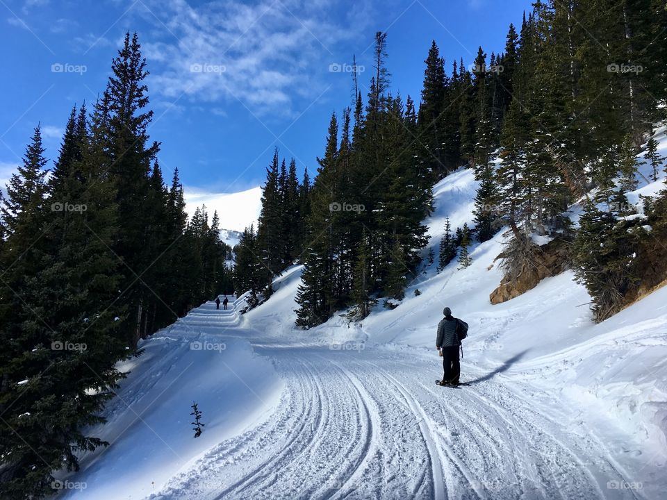 Snowshoeing Trail