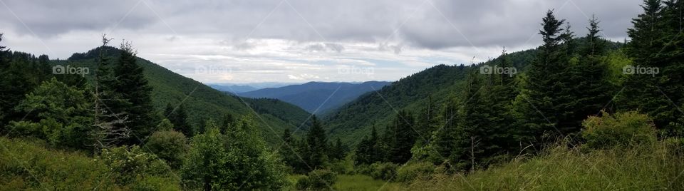 Looking down through a valley in the Great Smoky Mountains National Park