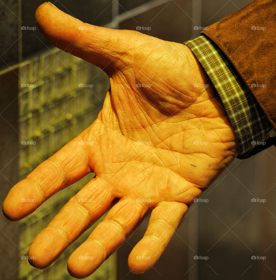 light sun reflection hand by delvec