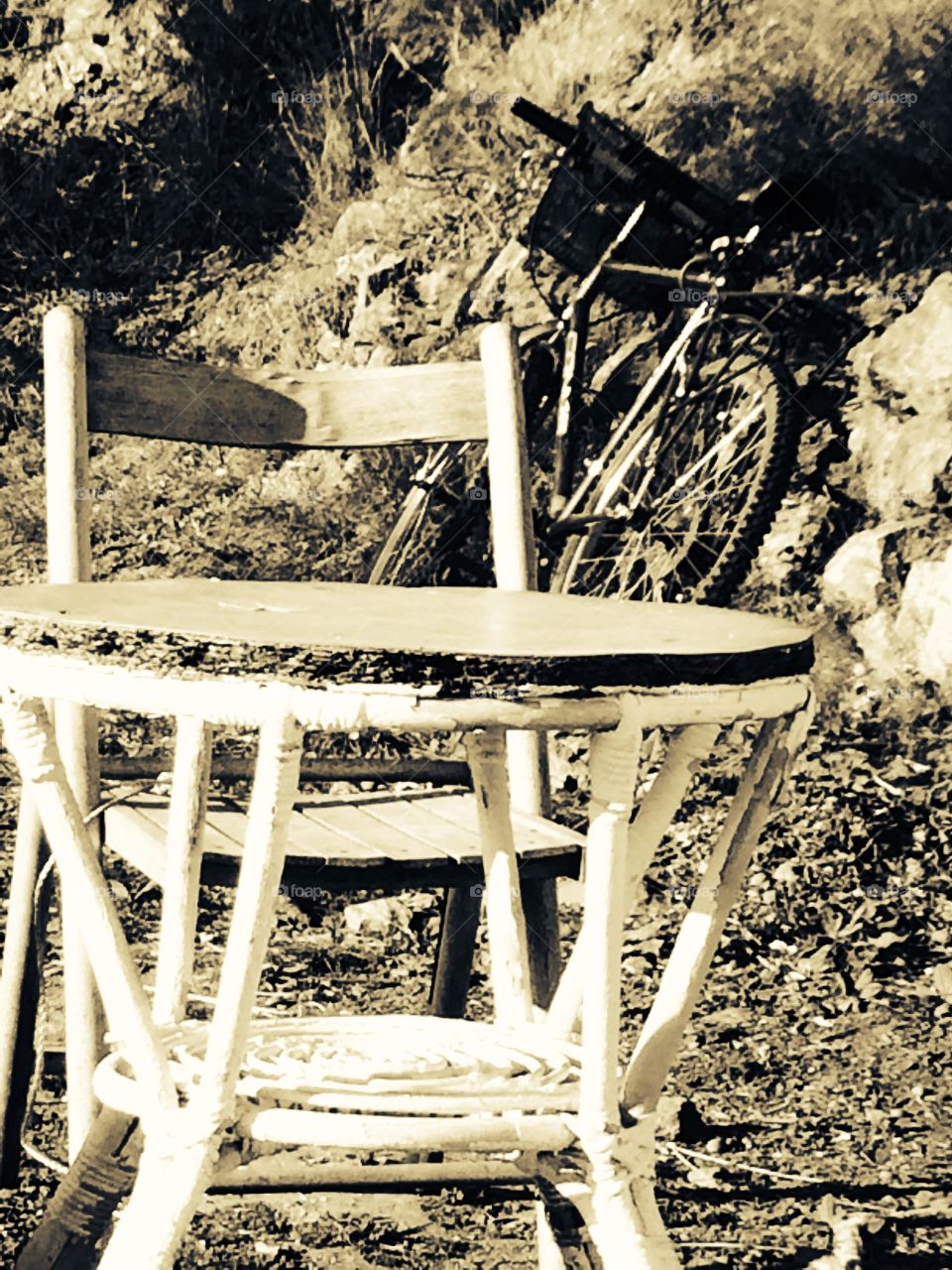 An old table in the garden