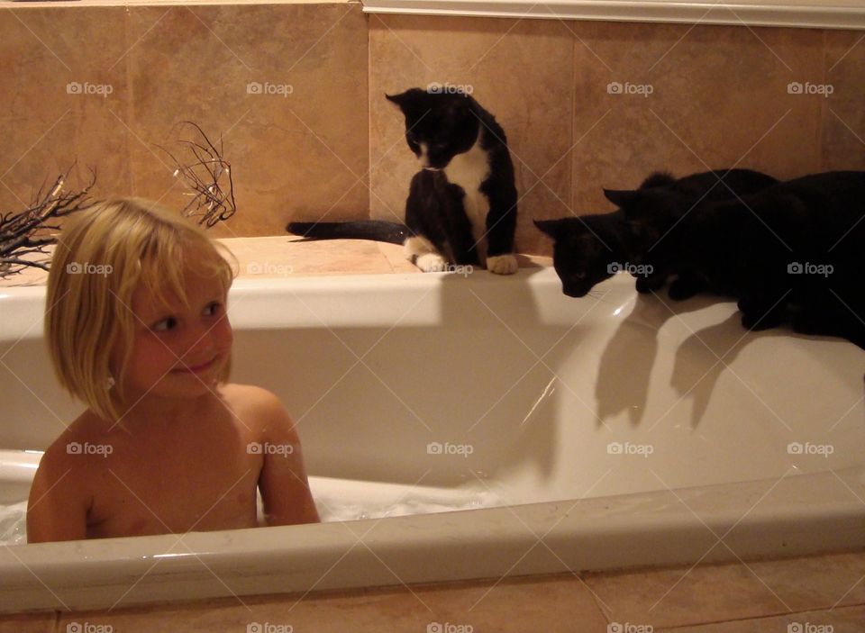 Kittens enjoying bath time can’t stay away