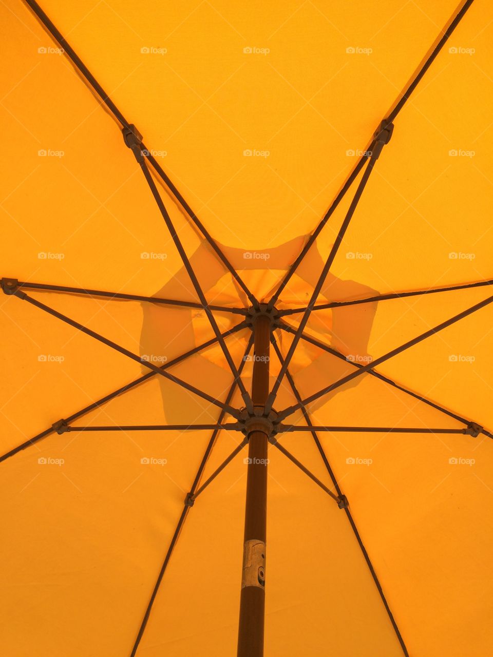 Yellow umbrella