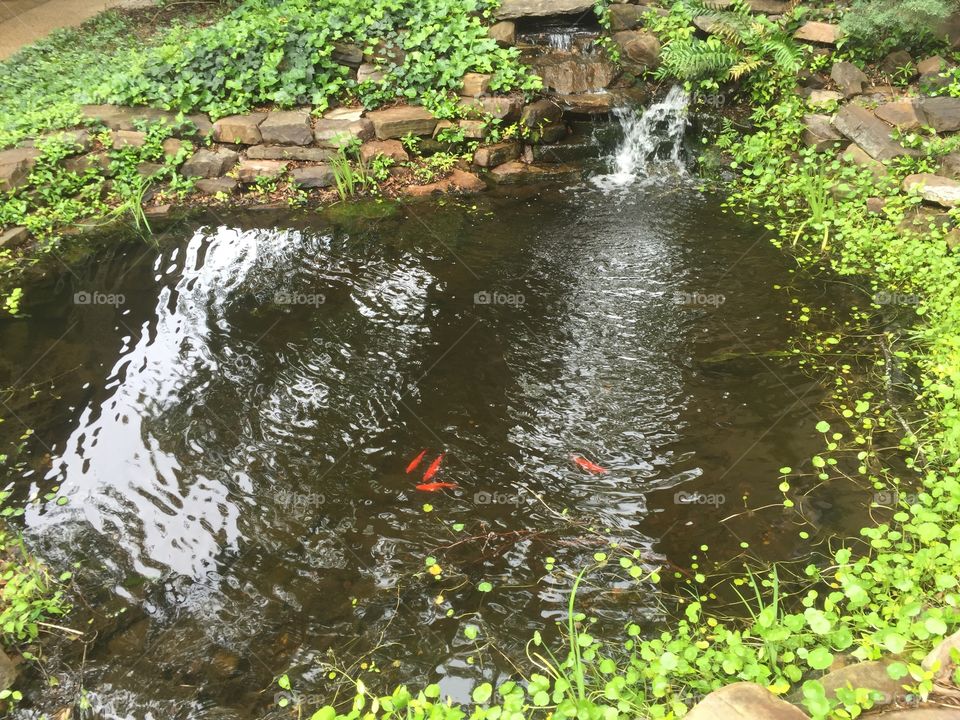 saw some fish yesterday!