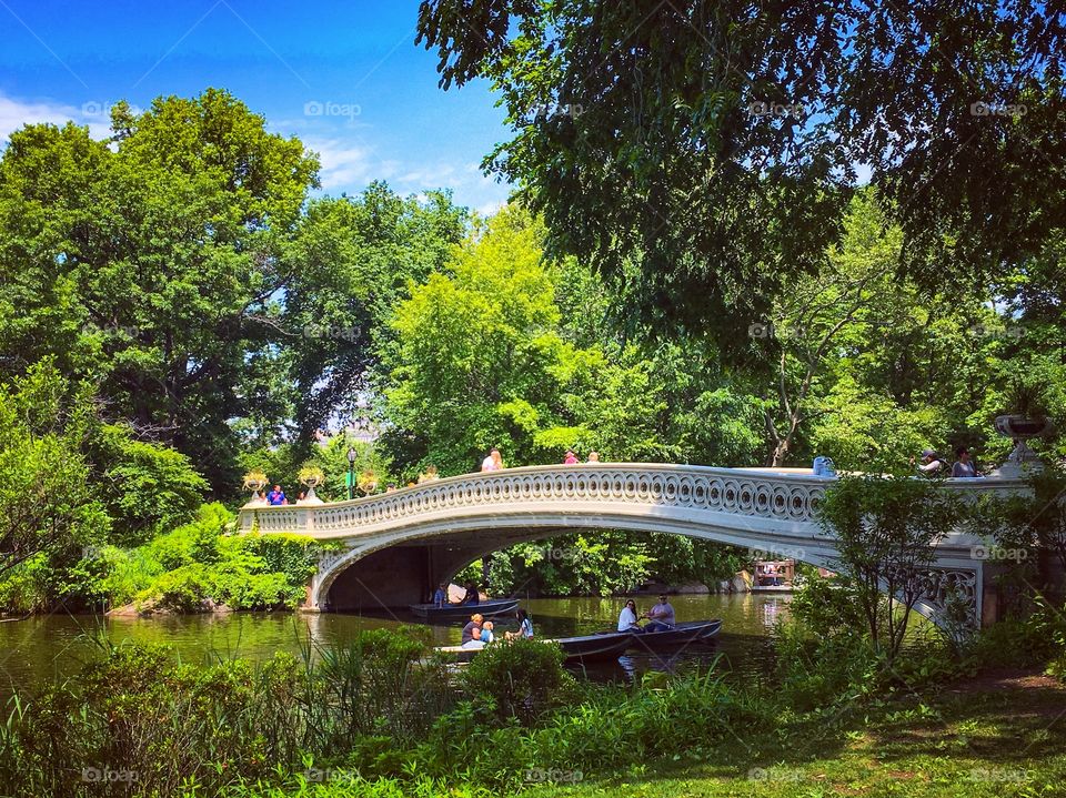 Picnic in Central Park kind of day.