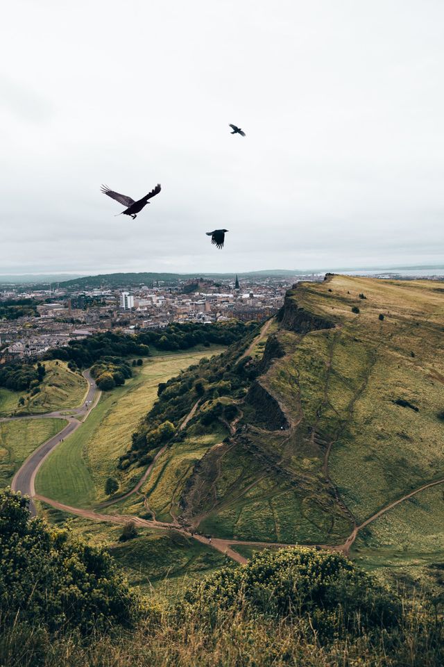 crows and Hills