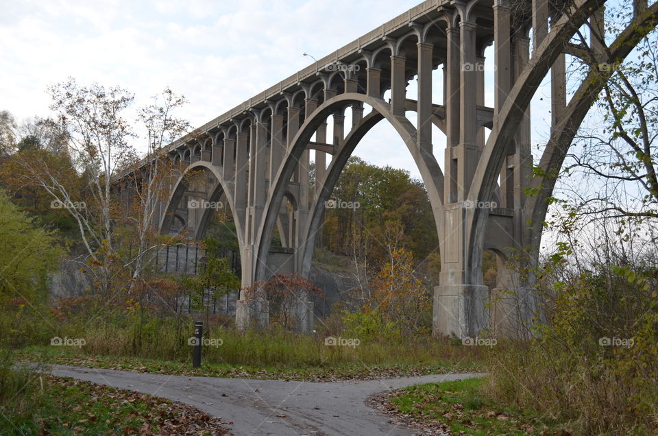 Bridge. Fall park with bridge