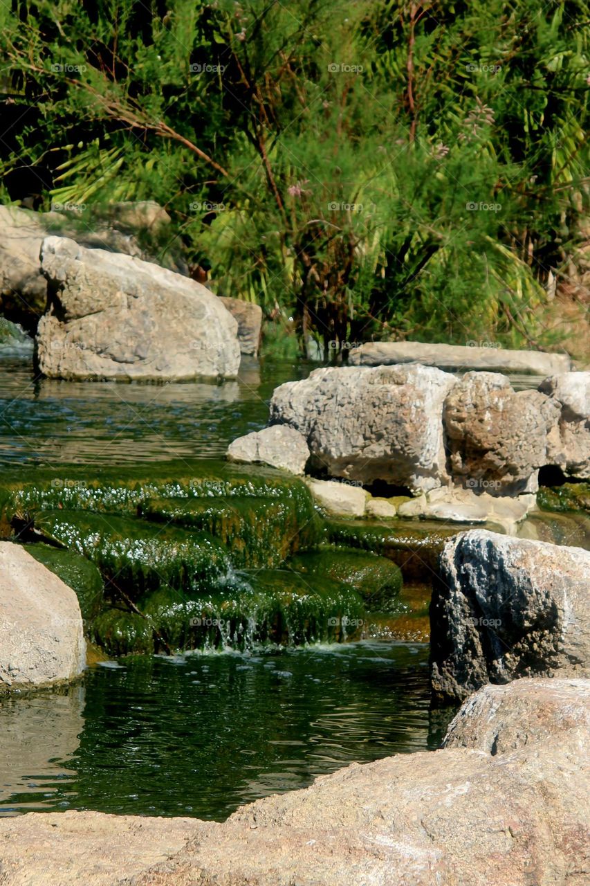 Tropical Waterfall in Local Park