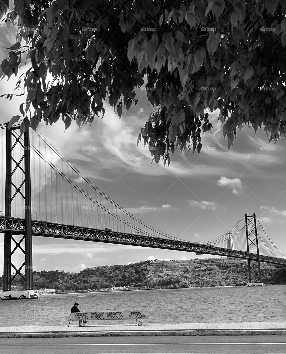 Bridge b&w