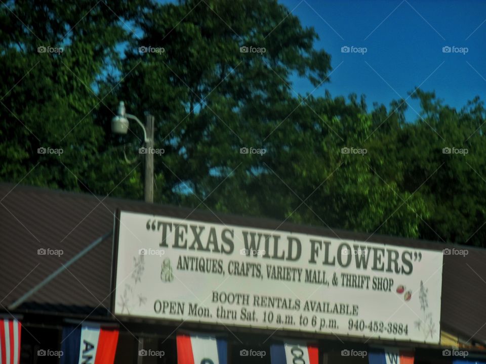 Texas wild flowers 💐. This is a vacation photo 📷 that I took while visiting the Gulf of Mexico. 👣 🚶 🏃 🔥 💨