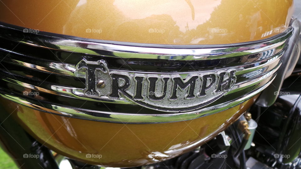 triumph motorcycle