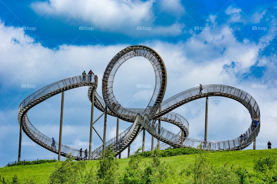 Tiger and turtle