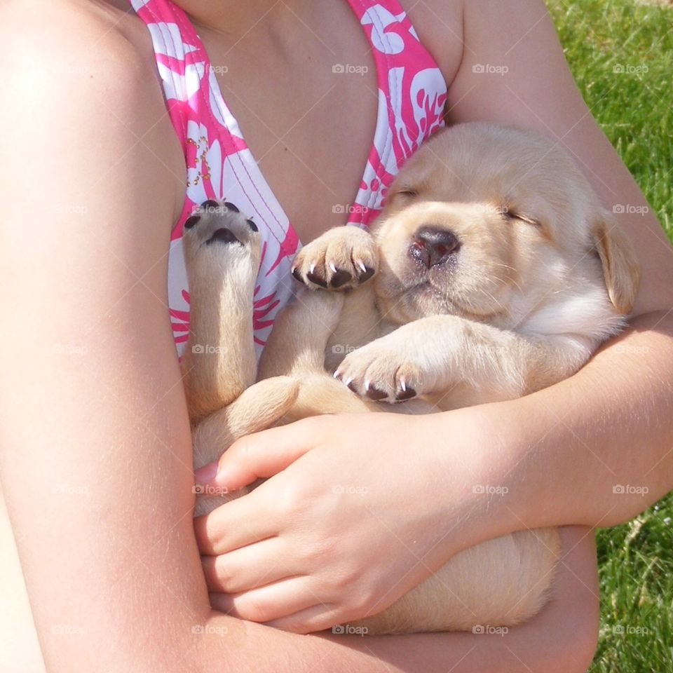 Young girl cuddling a sleeping yellow Labrador retriever puppy