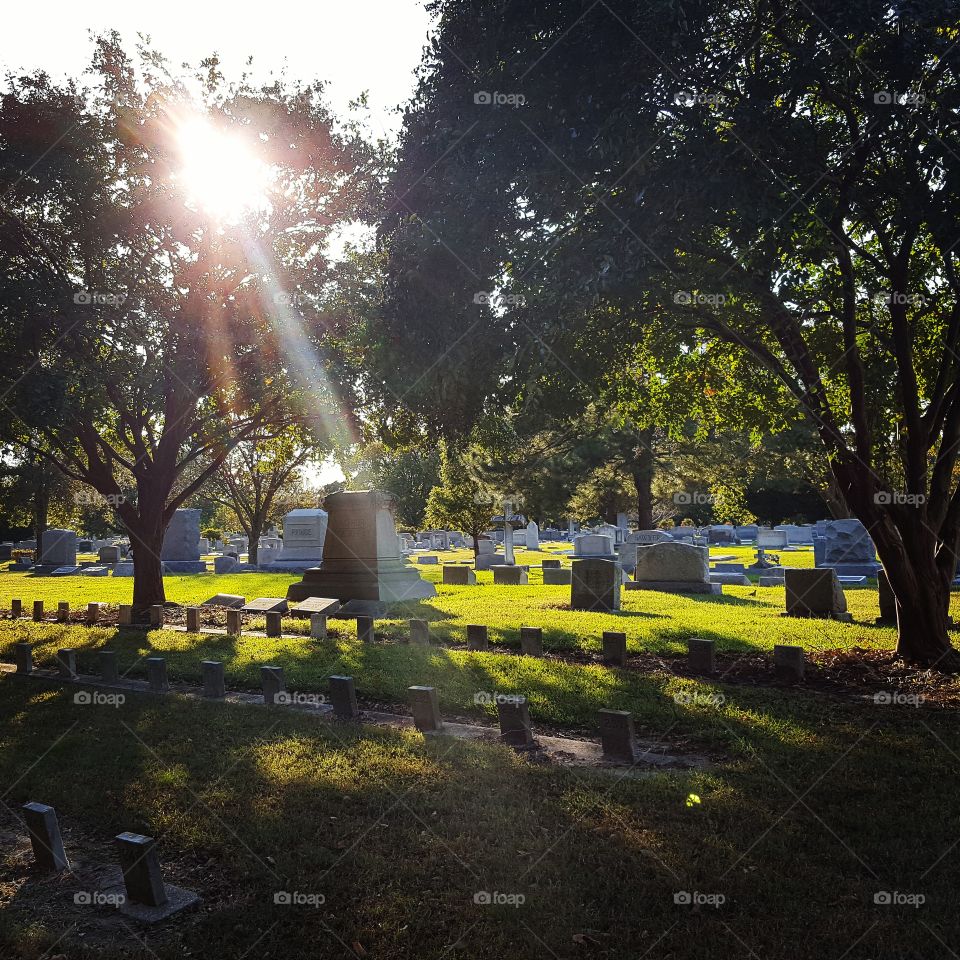 sun shining in a cemetery