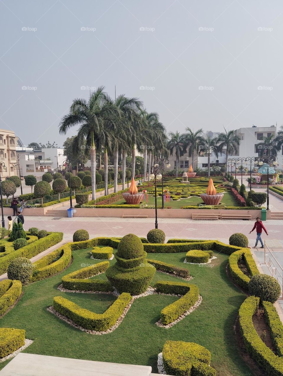 Green plant shurb small size looks very beautiful generally found everywhere, large tree alao