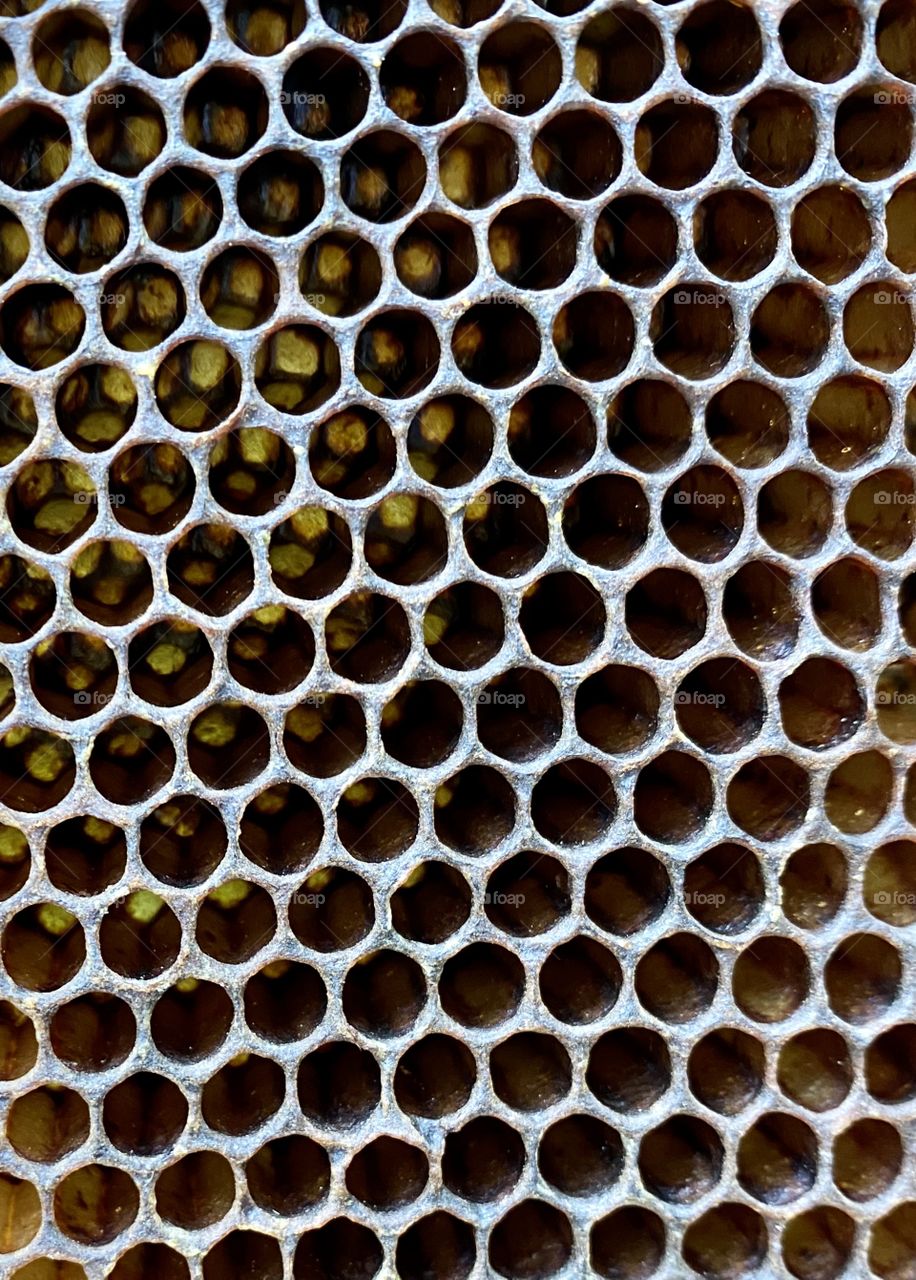 Honeycomb 