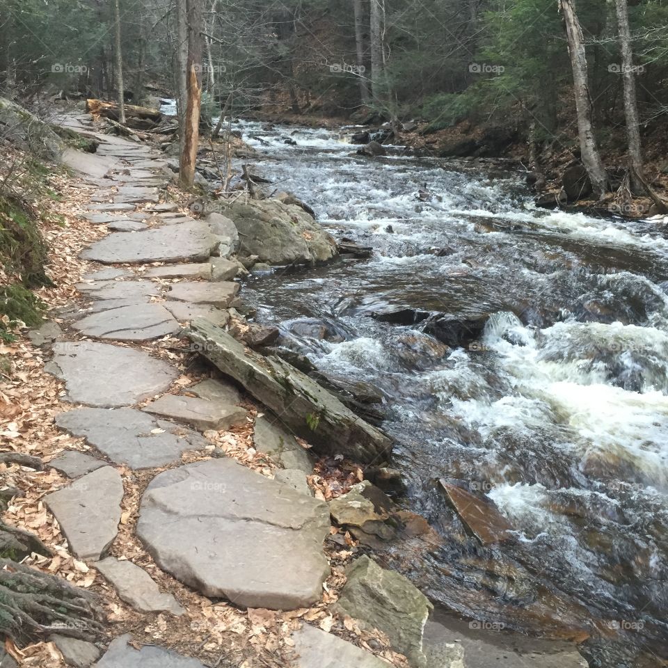 Peaceful flagstone path