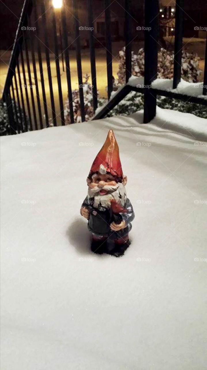 Gnome in the snow. I think he prefers Florida