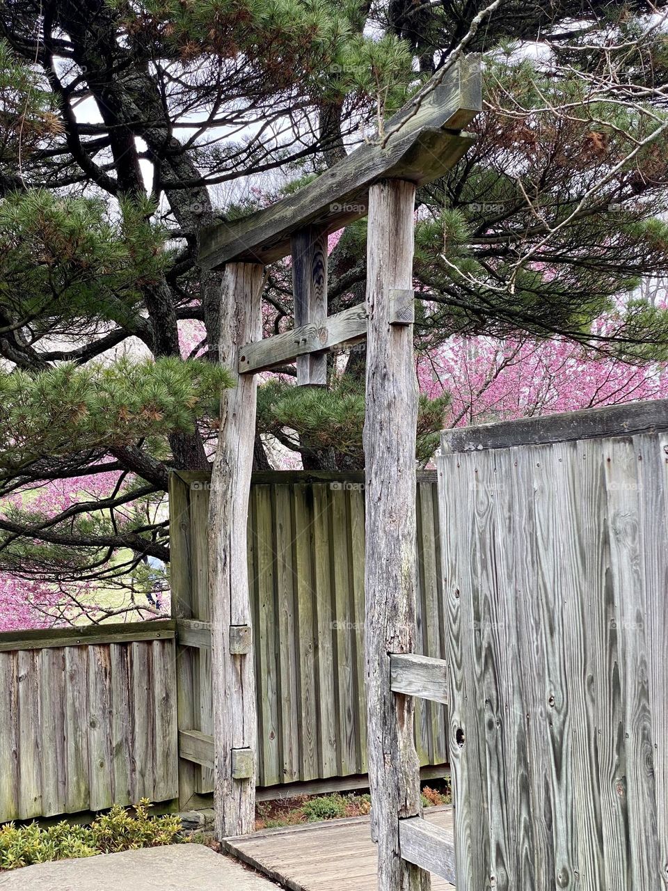 An archway separating two sections in a garden