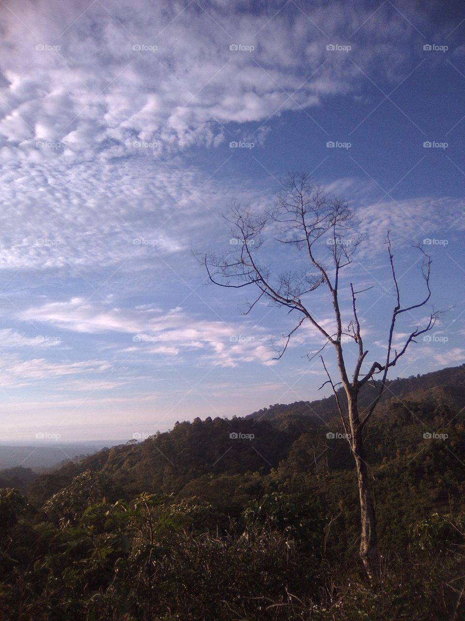 nature created by Allah