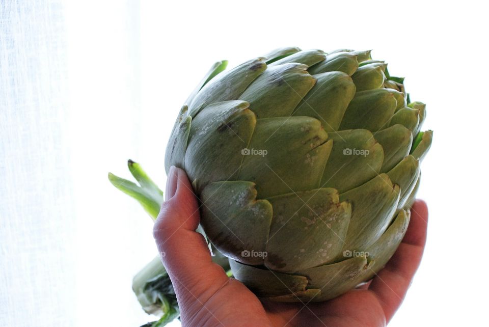 Artichoke 