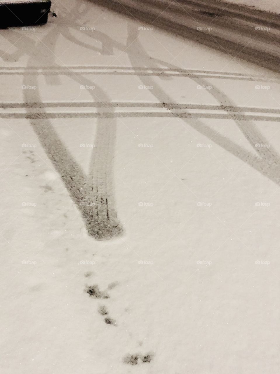 Tire Tracks in Snow-December 11 2018-Montreal, Quebec, Canada 