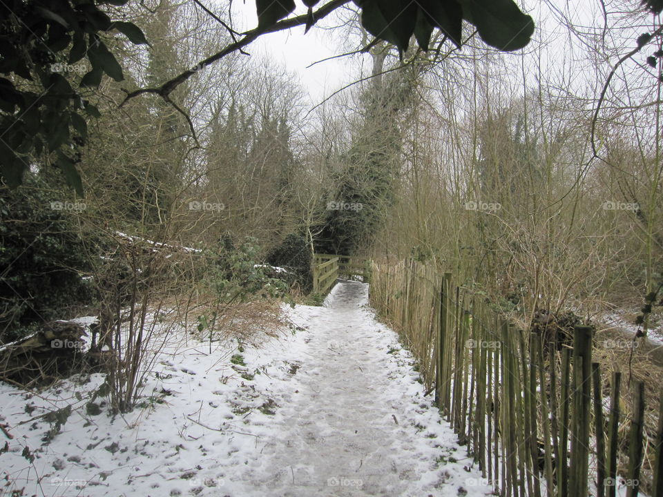 Snowey Path