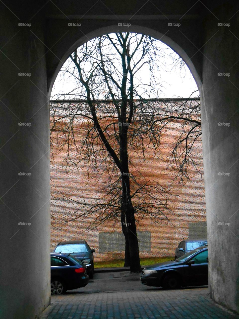 No Person, Light, Road, Tree, Landscape