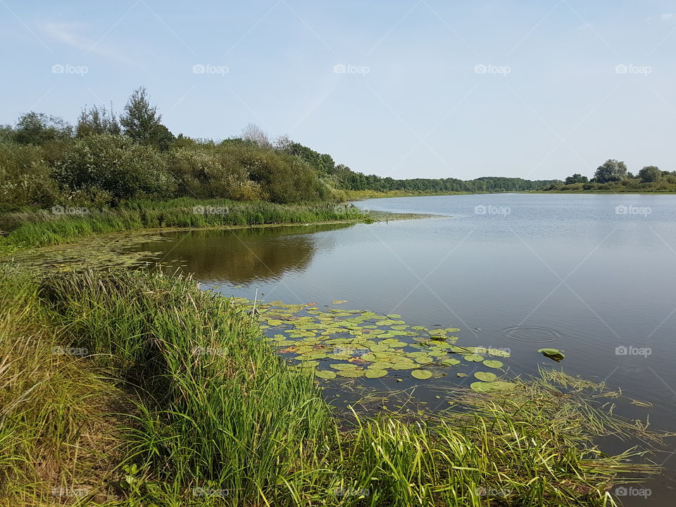 River in summer