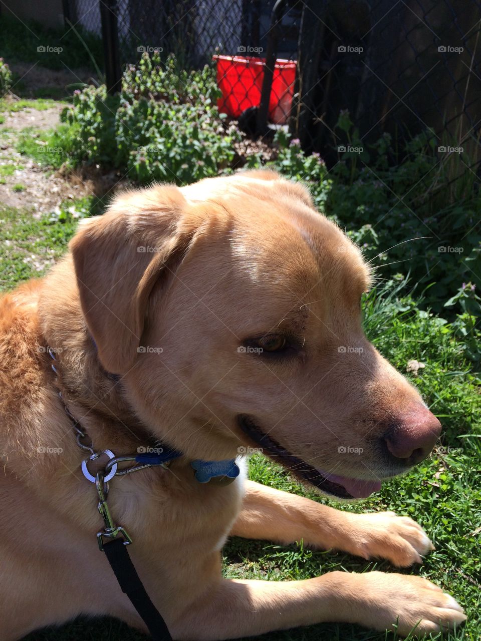 Checking out the park 