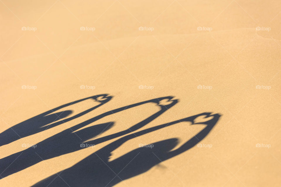 People make heart shaped shadow on the sand 