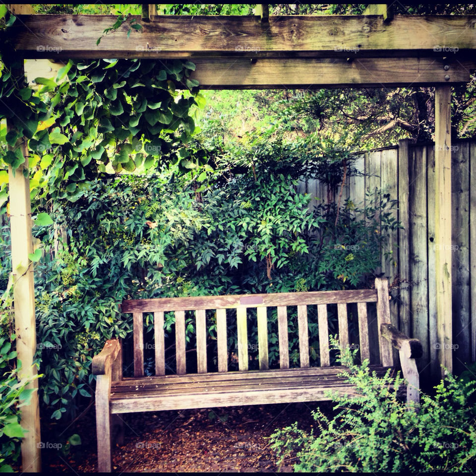 Bench at the garden.