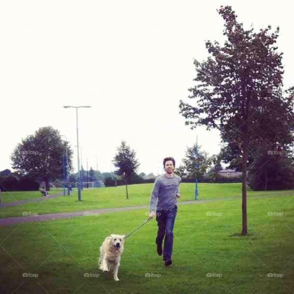 nature pretty dog fun by Zita