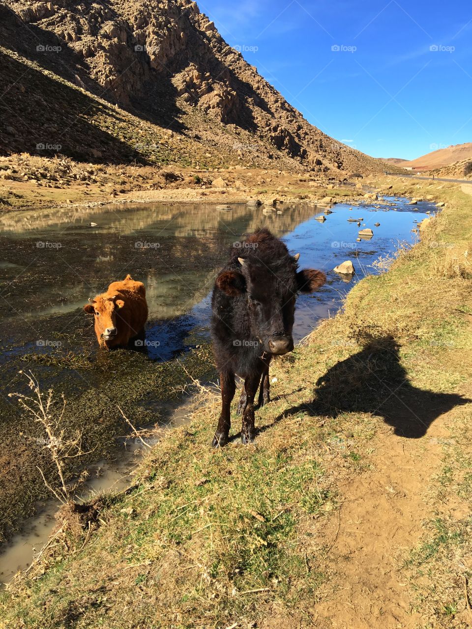 No Person, Outdoors, Travel, Water, Landscape