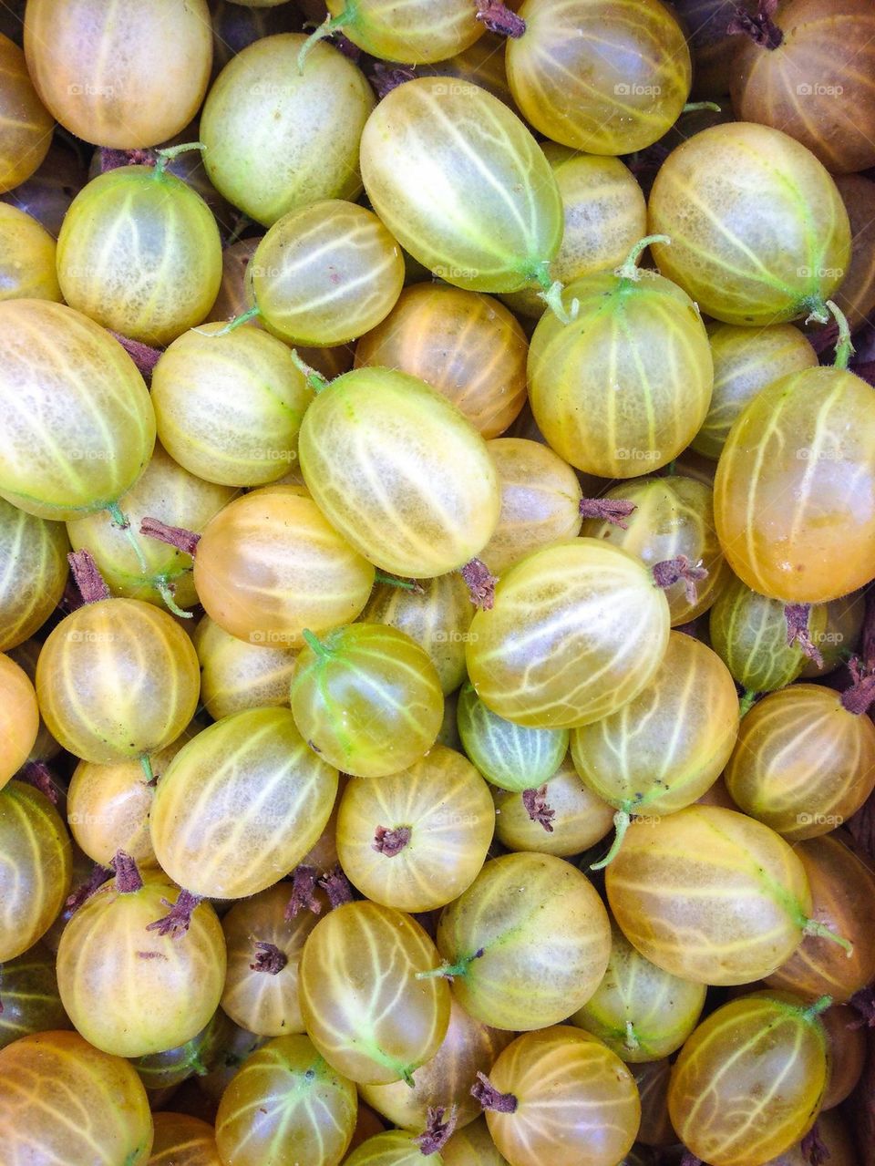 Close-up of gooseberry