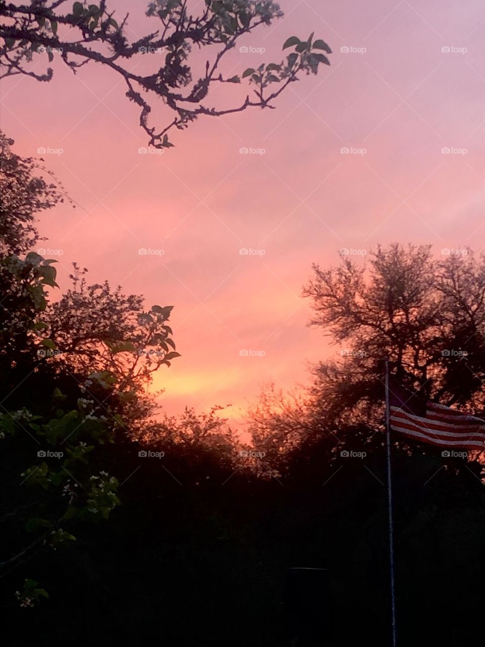 Sunset last night was amazing, and the wind also helped the flag in the front yard fly straight!