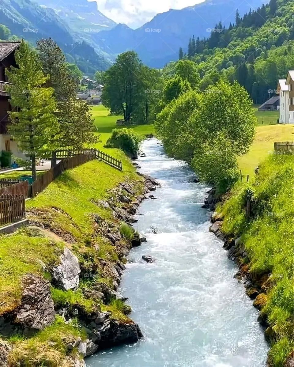 A very beautiful picture, and there is no better picture than it. There is no better picture of green herbs and colorful, red and white roses than it. Glory be to God, the natural and picturesque view, and there is no more