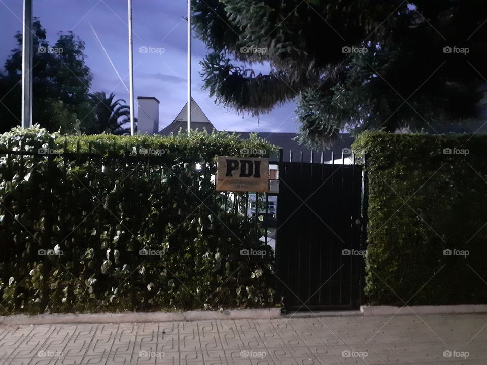 PDI curico