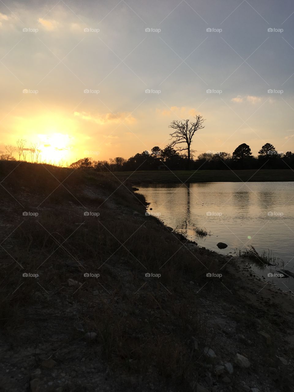 Sunset on Water