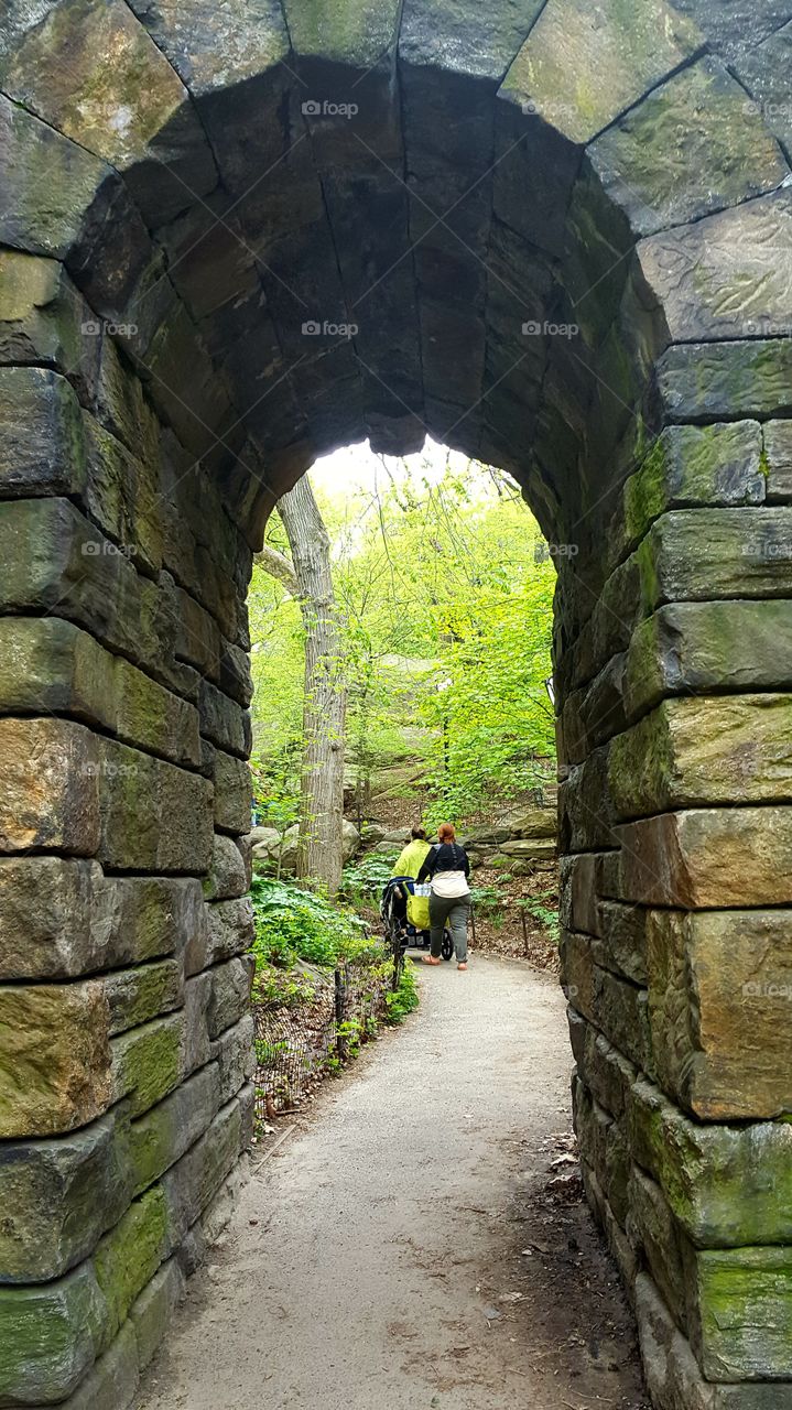into the woods thru the arch entrway