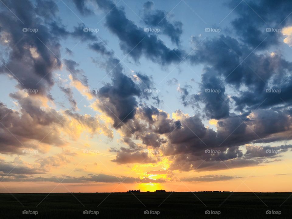 Beautiful golden hour over a wheat field in summer