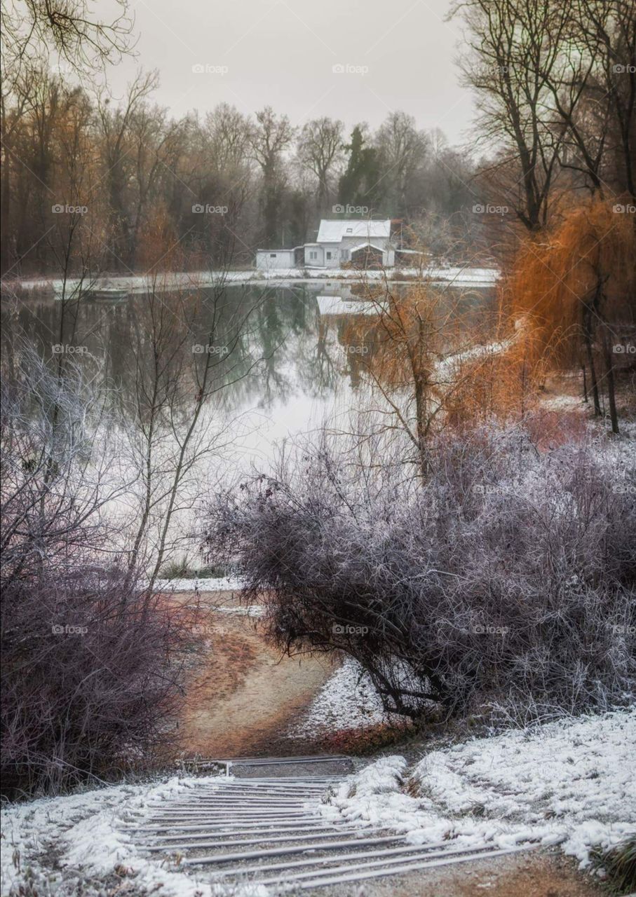 lake in winter