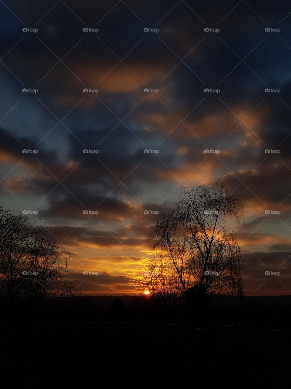 Sonnenuntergang Bonn Tannenbusch