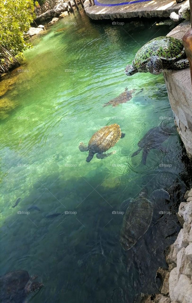 Lesson 1: Join First Mission