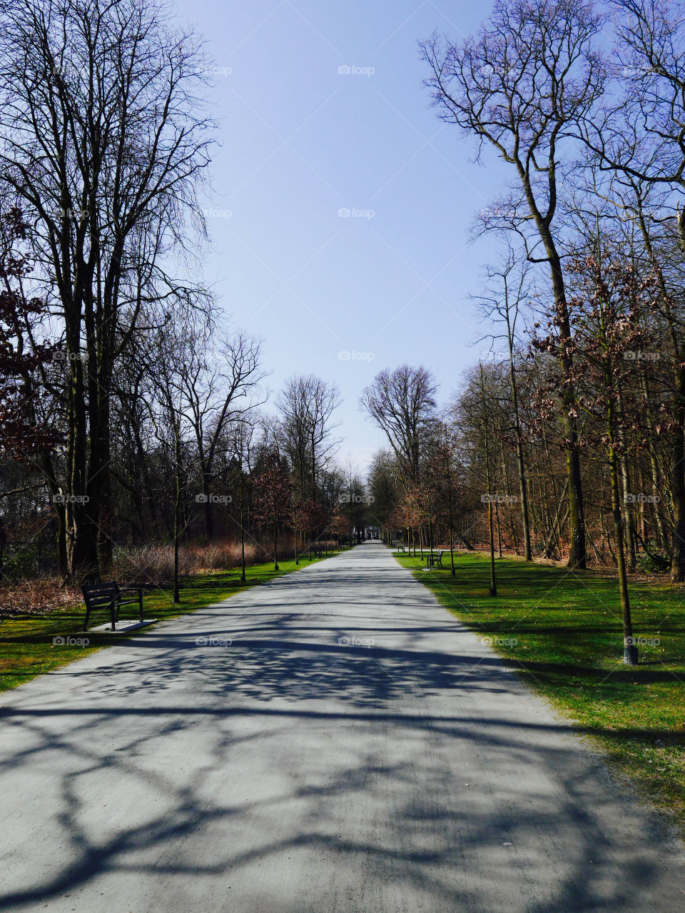 A walkway in a park in Antwerp, Belgium, march 2018.