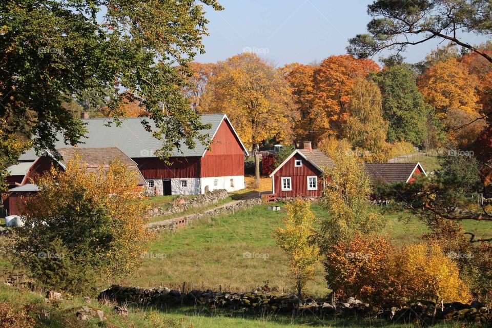 Swedish landscape